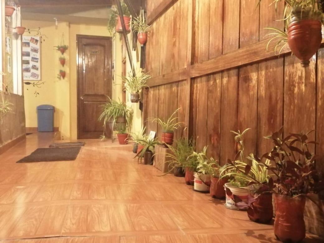 Eco Aventura Hostel קוסקו מראה חיצוני תמונה